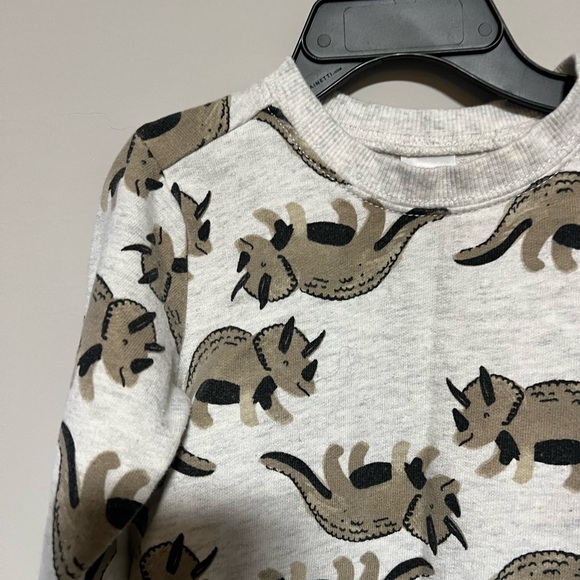 Carter's Size 18 Months Gray Brown Dinosaur Pull Over Long Sleeve Sweatshirt - Picture 2 of 7